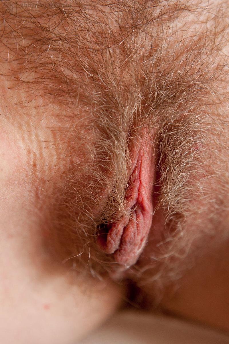 Волосатые киски крупным планом