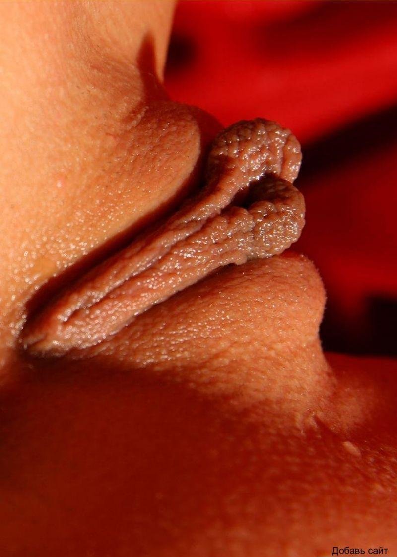 Красная жаба