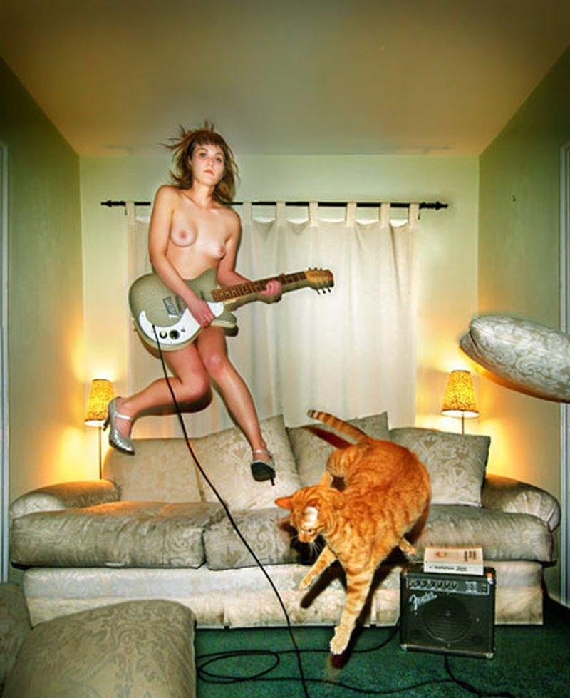 Коты смешные моменты