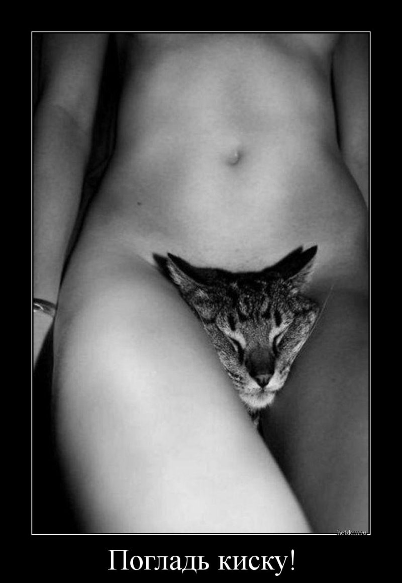 Девушка с киской демотиватор