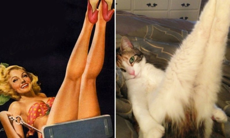 Сексуальная кошечка