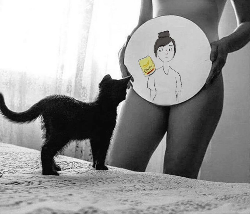 Кот и попа девушки