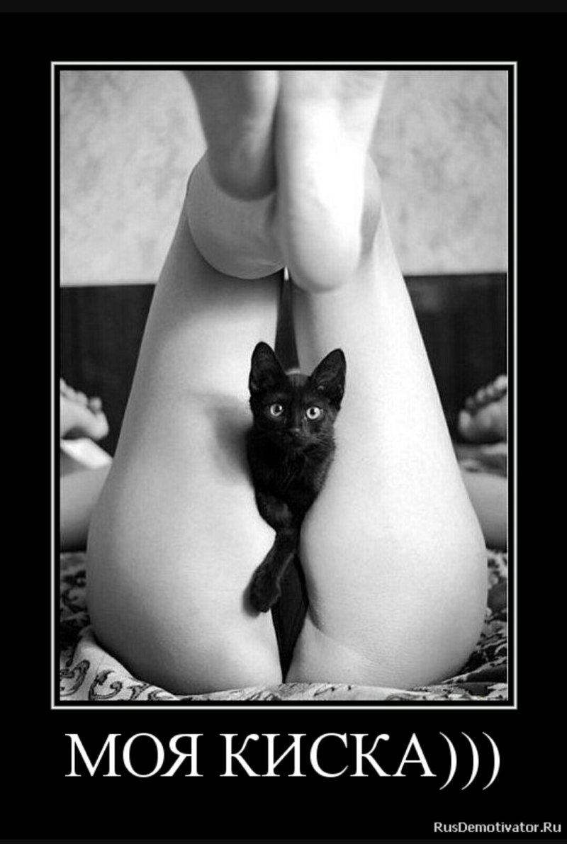 Девушки киска