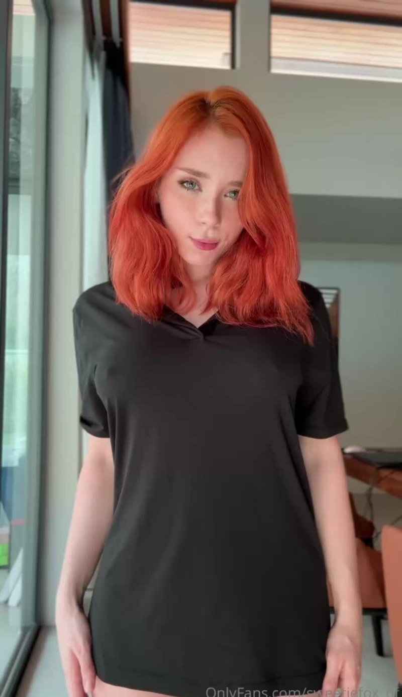 Рыжая свити фокс