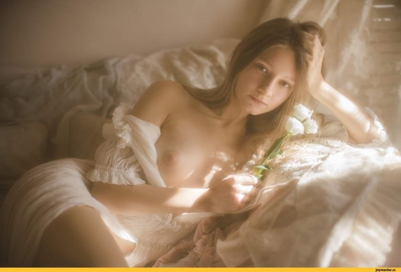 Дэвид гамильтон