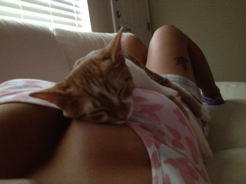 Красивые кисы девушек