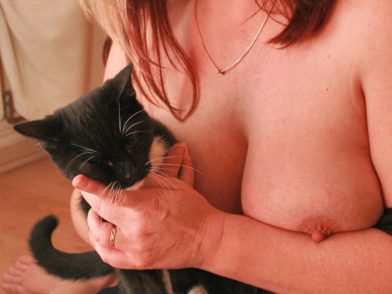 Кот на груди