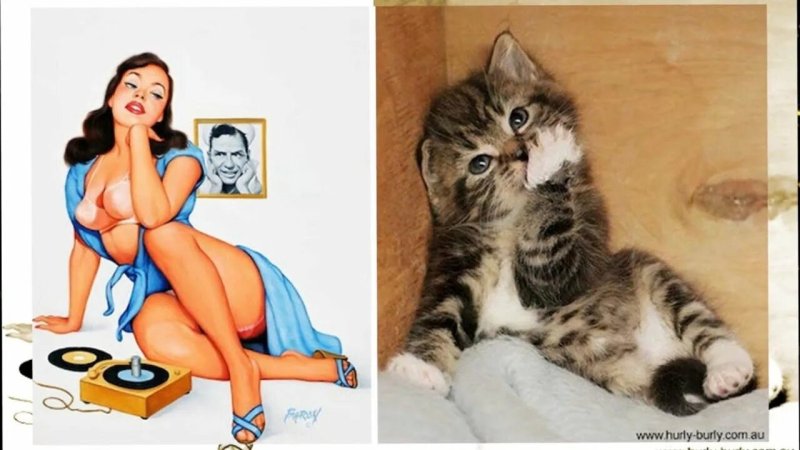 Хорошенькая девушка