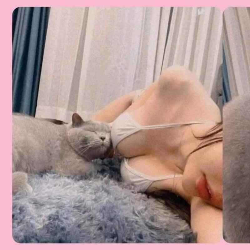 Котик на груди