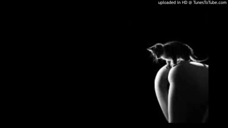 Кошка на темном фоне