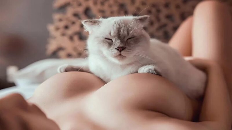 Самые красивые киски девушек