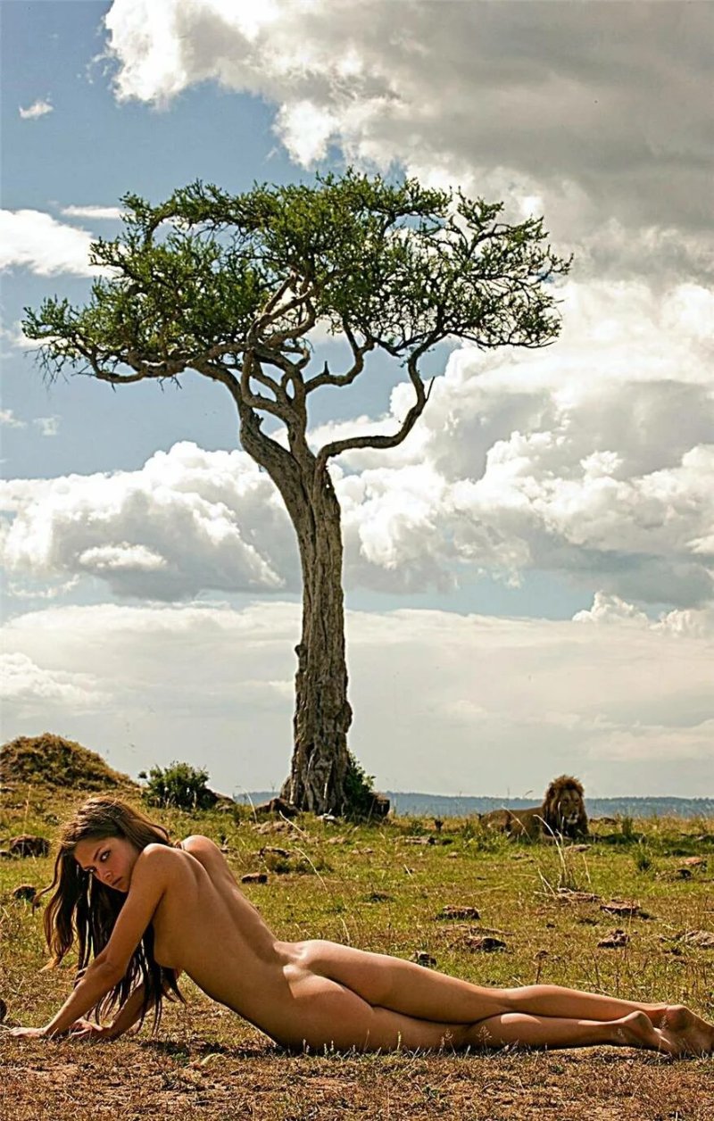 Дерево в африке