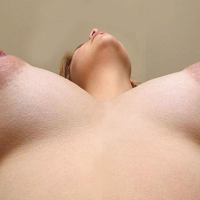 Возбужденные стоячие соски