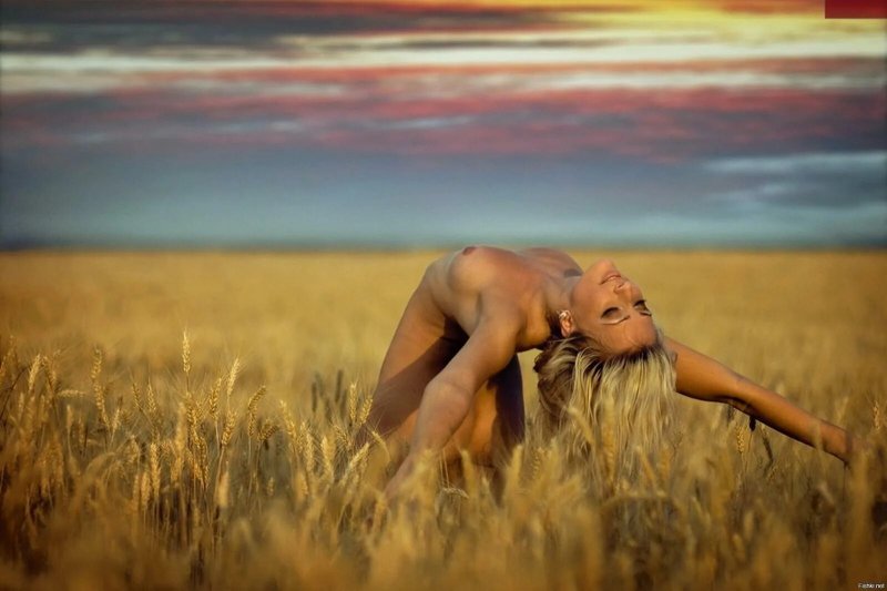 Девушка в пшеничном поле ню