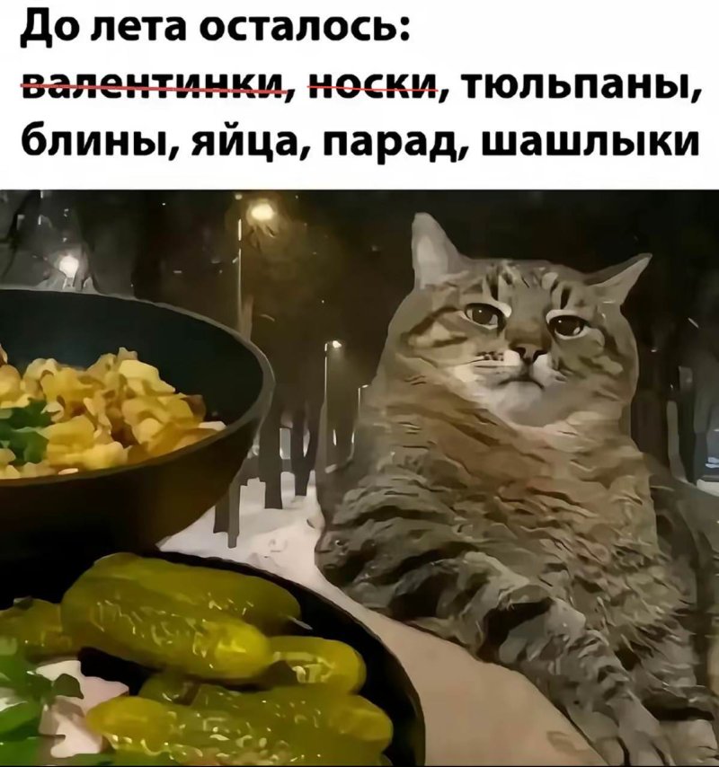 Смешные мемчики