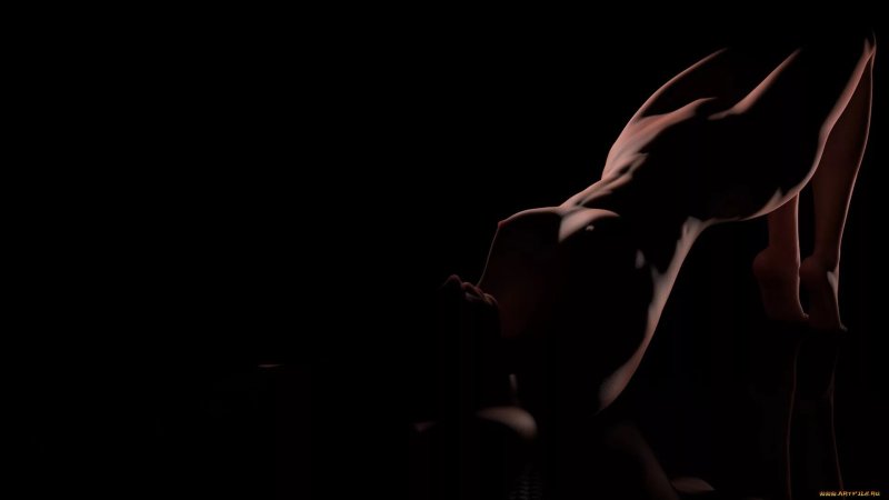 Силуэт голой девушки
