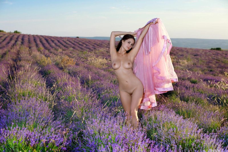 Лавандовое поле фотосессия