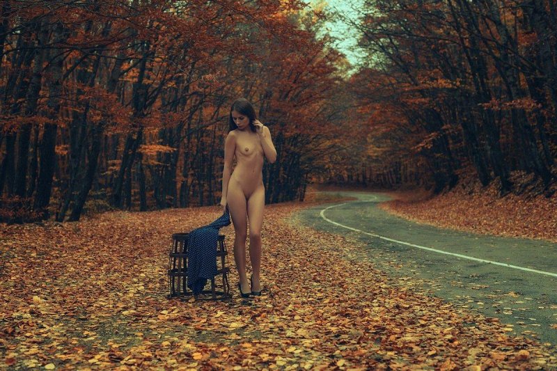 Осень дорога