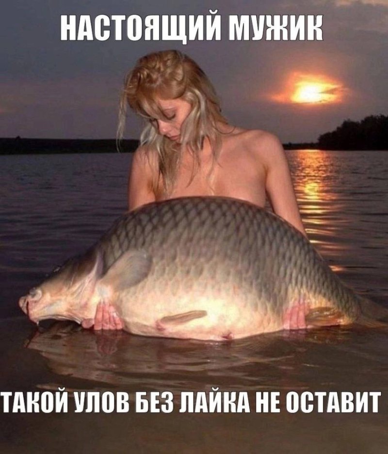 Мировой рекорд карп кг