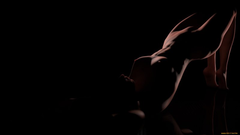 Силуэт голой женщины