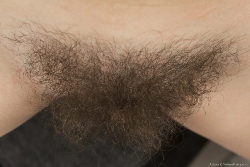 Парик для лобковых волос