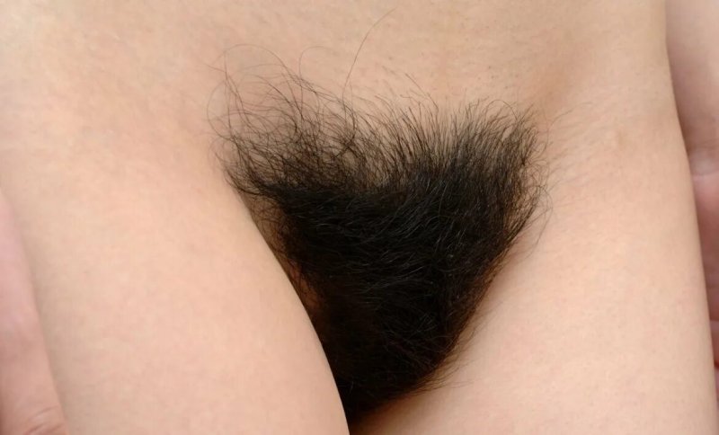 Черные волосатые лобковые волосы