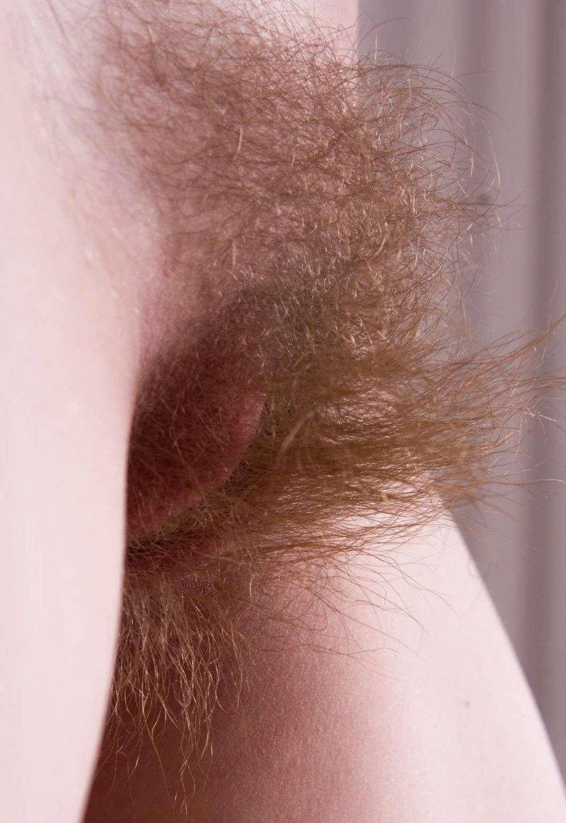 Мохнатые писи