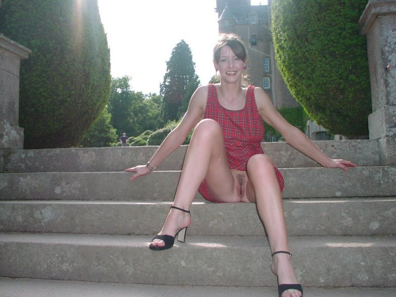 Секвойя дерево