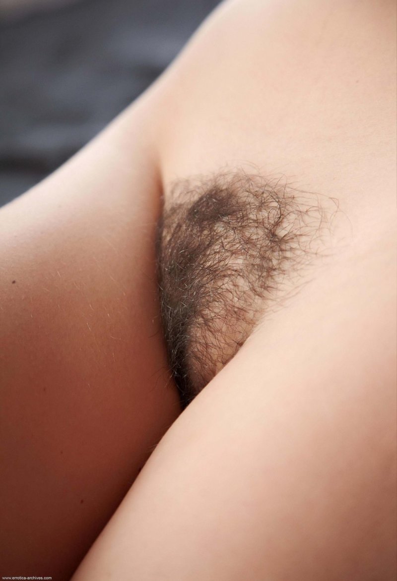 Лобковые волосы