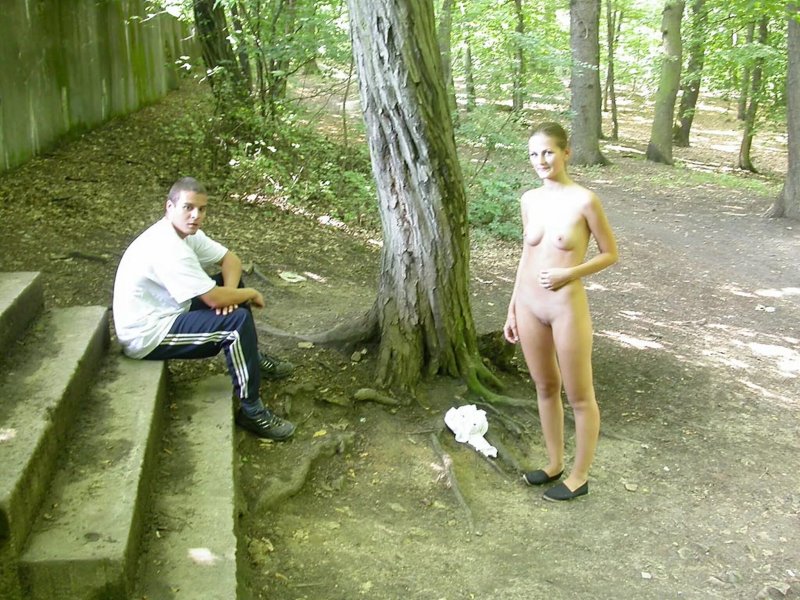 Гикори дерево