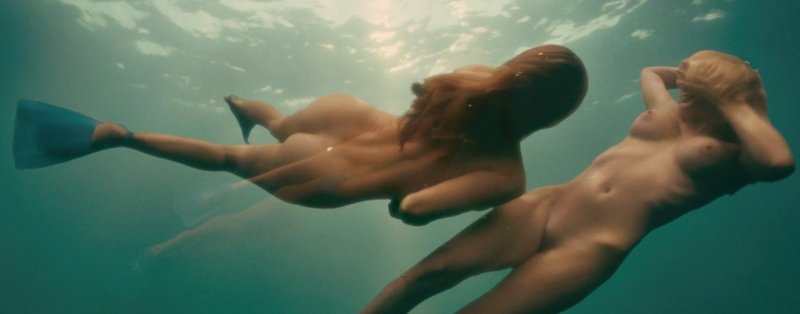 Райли стил пираньи д ню