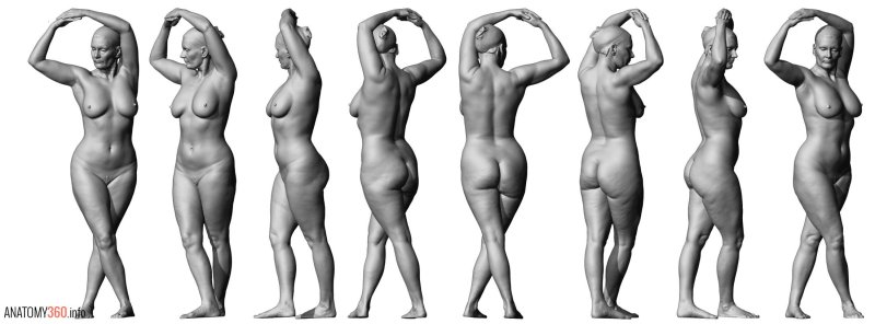 Голое тело женщины анатомия