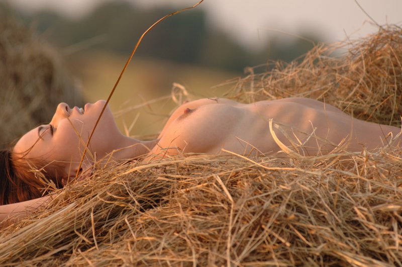 Красивые девушки на сеновале