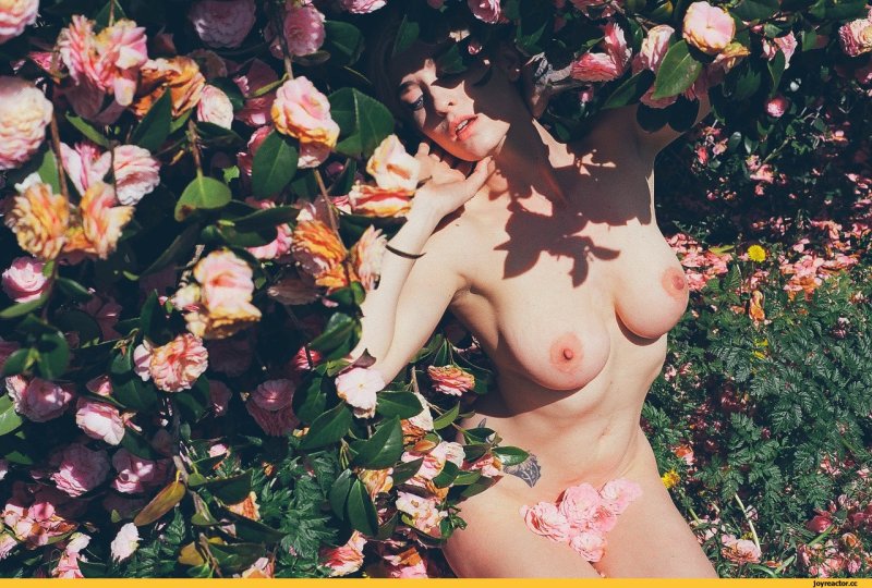 Идеи для фотосессии