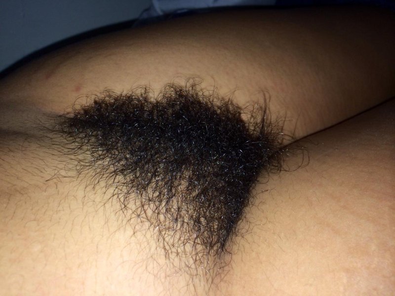 Коричневые волосы на лобке