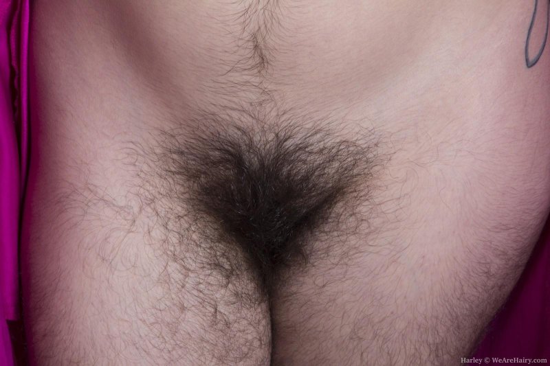 Очень волосатый женский лобок