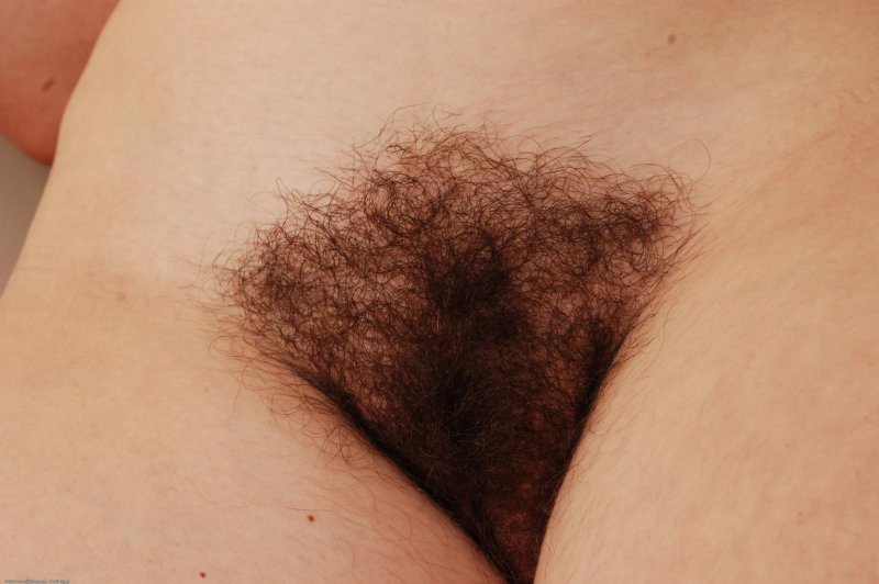 Волосатый треугольник на лобке