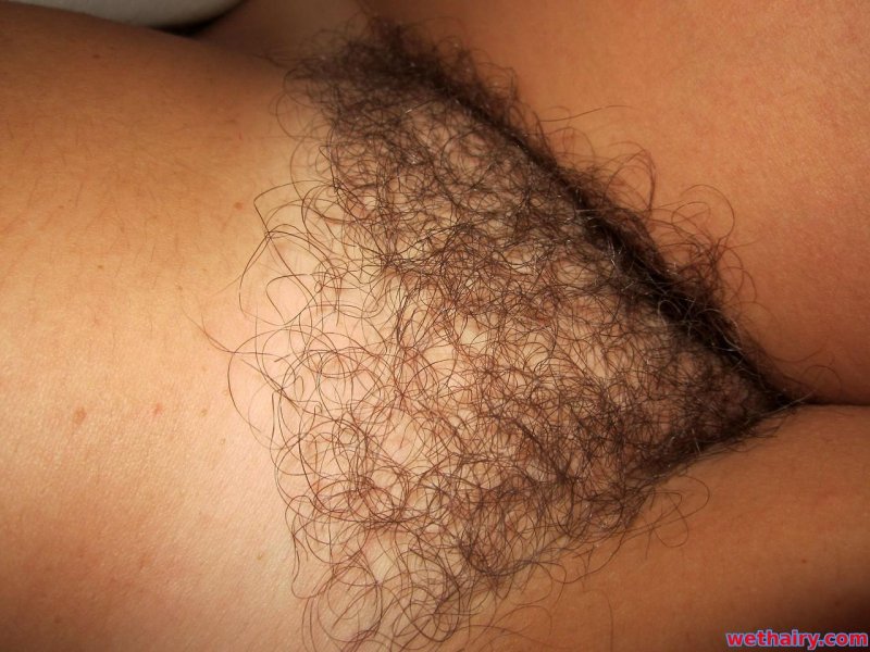 Волосатые сиси