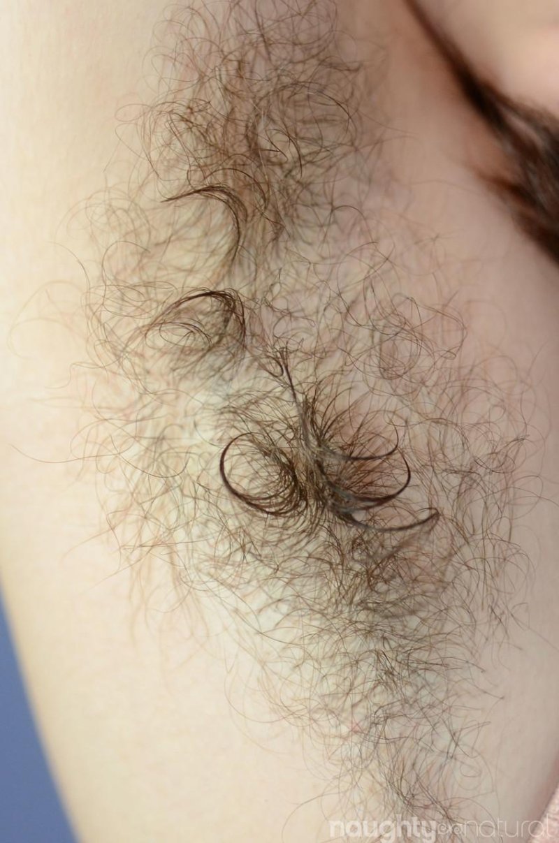 Волосатые сиси