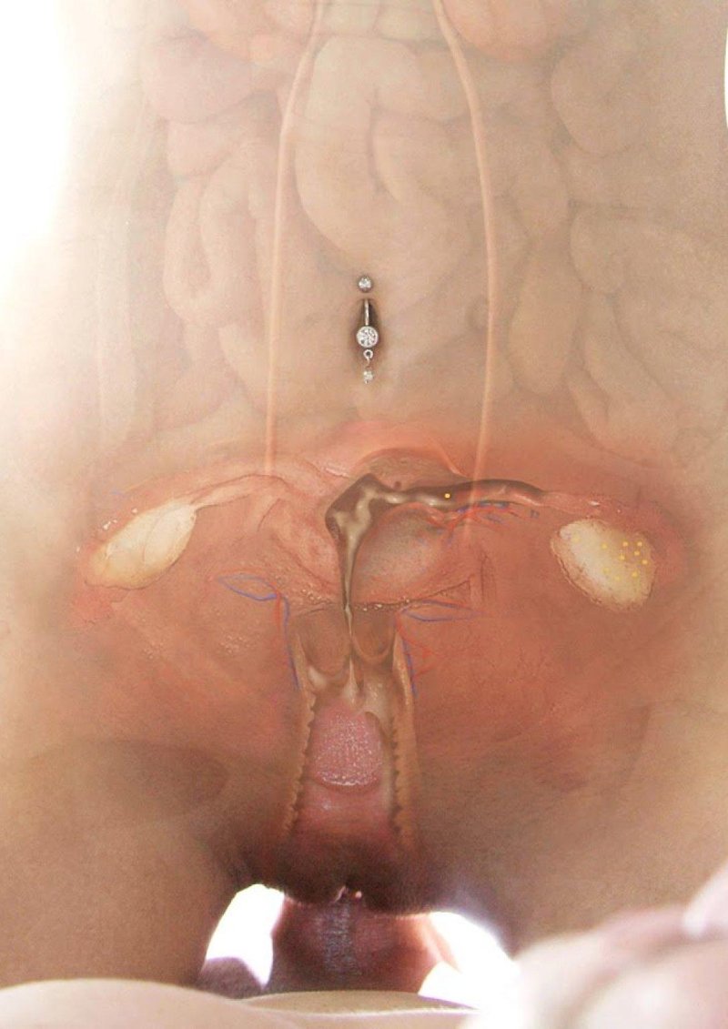 Женский оргазм изнутри