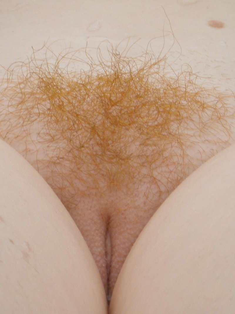 Рыжий женский волосатый лобок