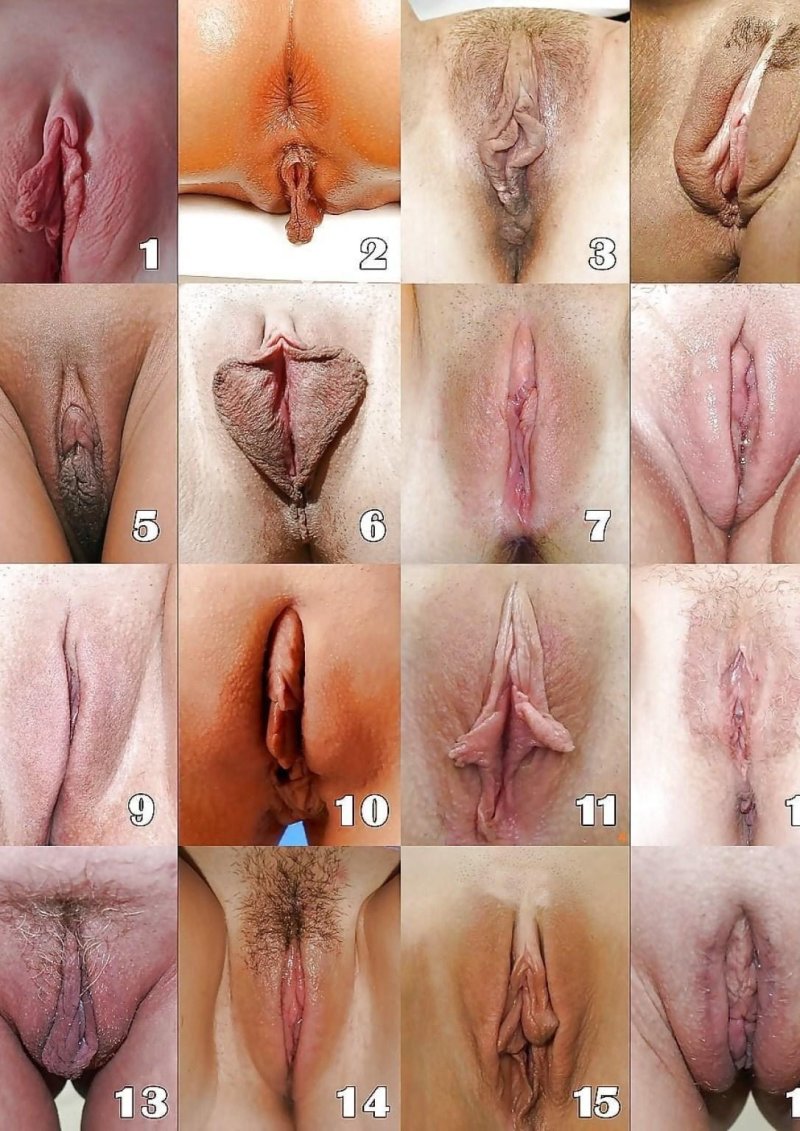 Формы женских гениталий