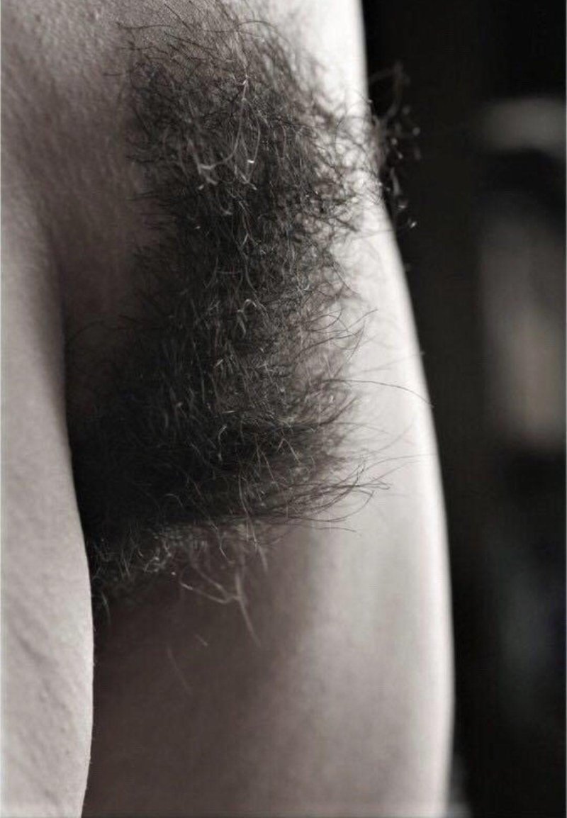 Волос на лобке