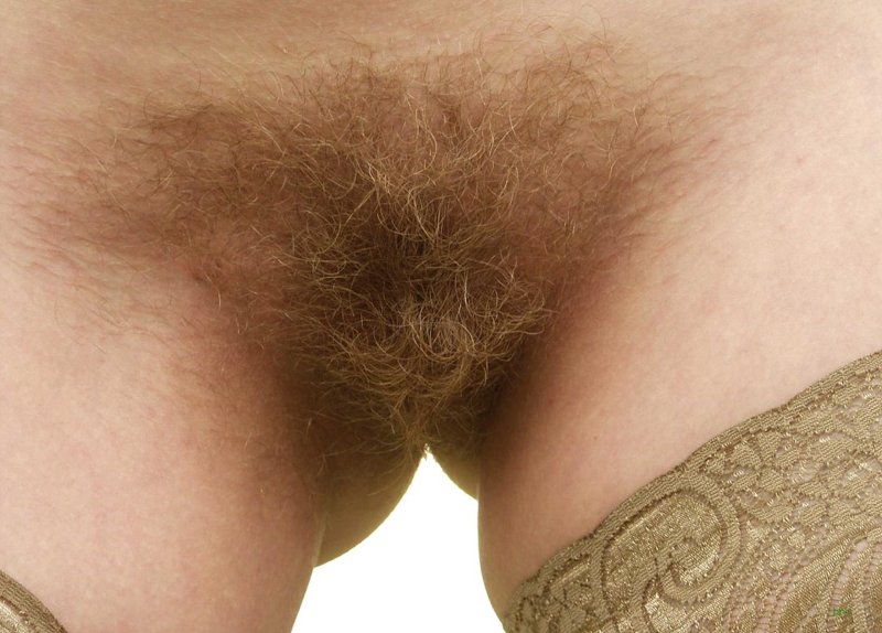 Красивый волосатый лобок