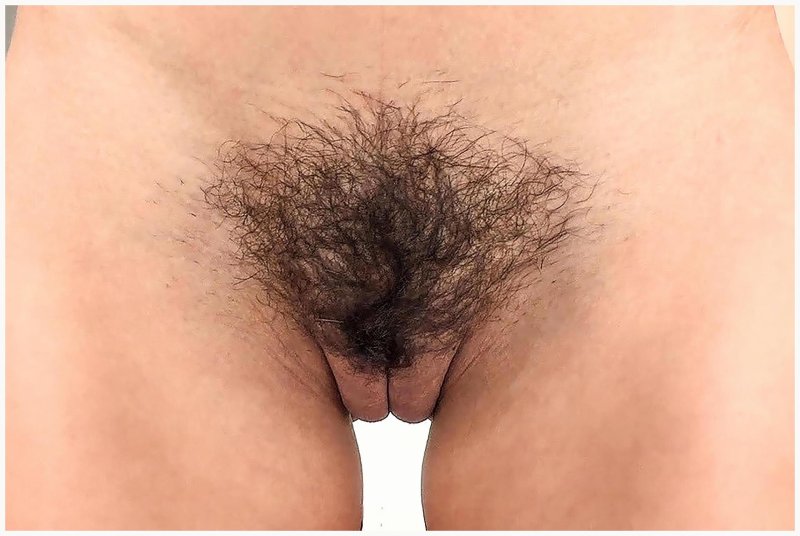 Верблюжья волосатая киска