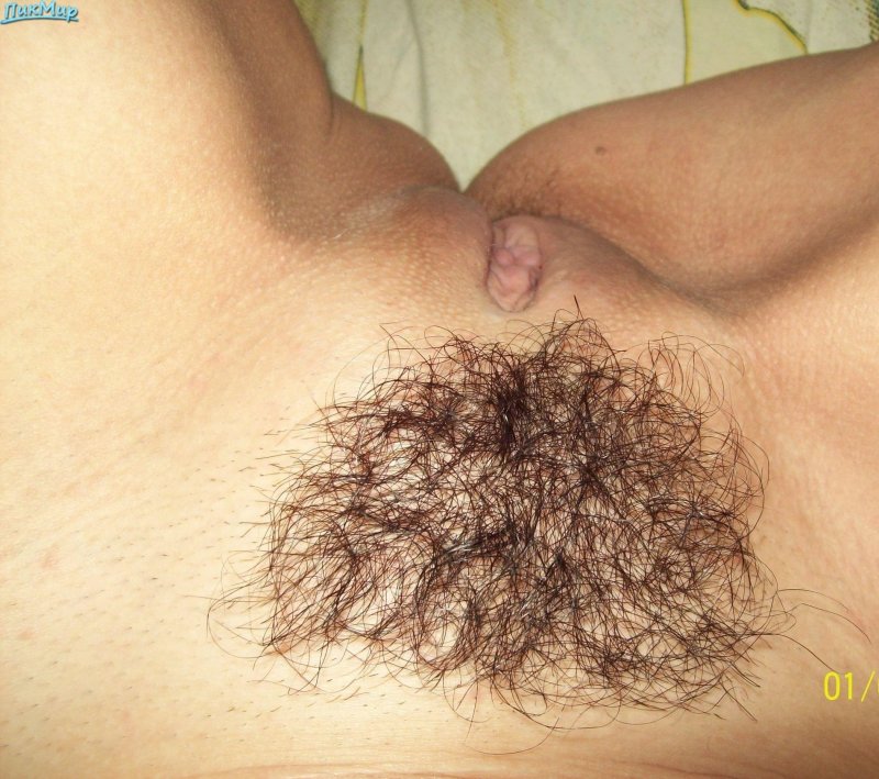 Очень волосатый женский лобок