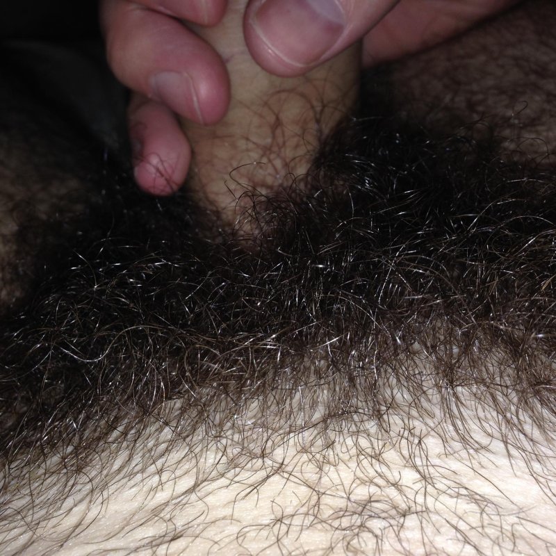 Самые длинные волосы на лобке