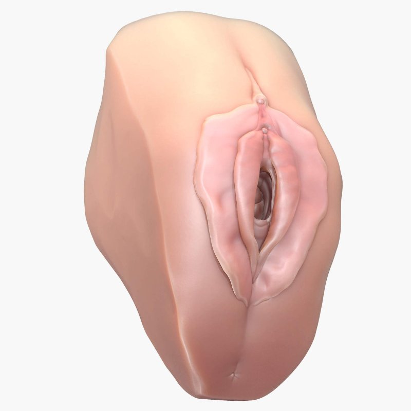 Эпизиотомия рафия