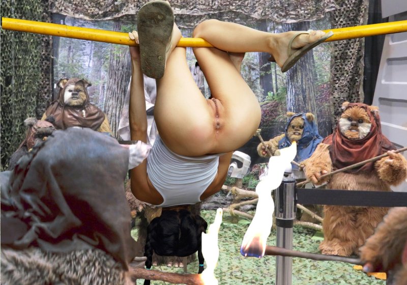 Девушки на вертеле порнография