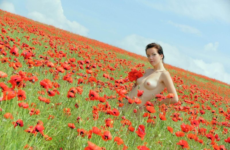 Девушка в маковом поле